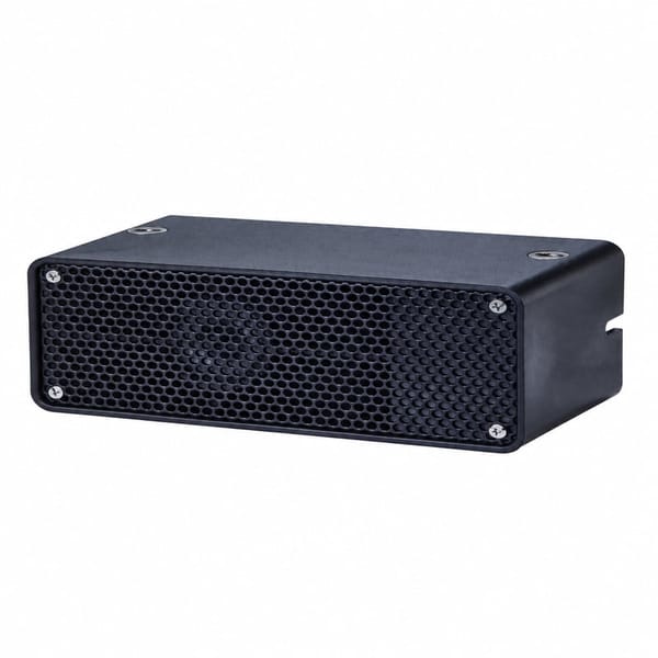 Large Reverse Buzzer 12-80V