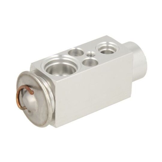 Expansion Valve - Mercedes Actros / Atego 2003+